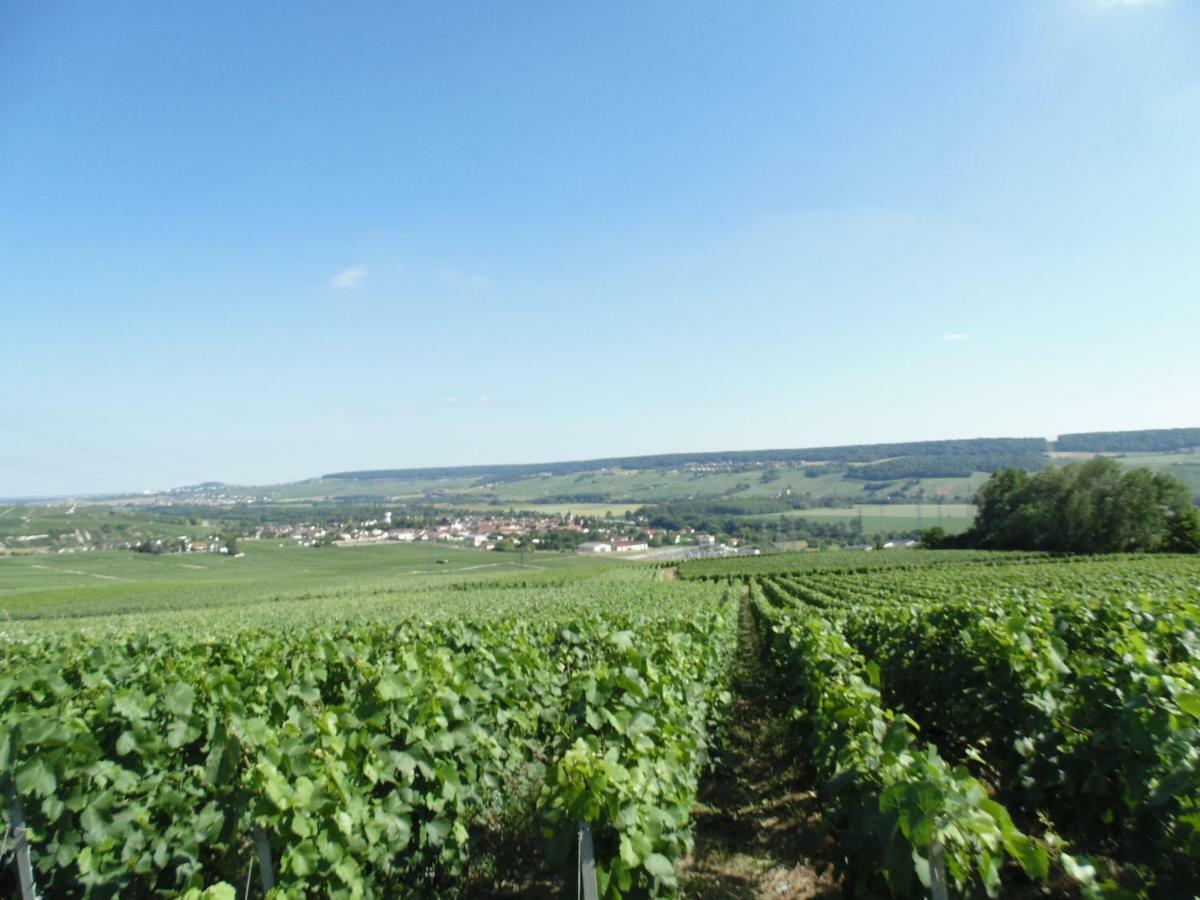 דירות Épernay La Mignonette מראה חיצוני תמונה